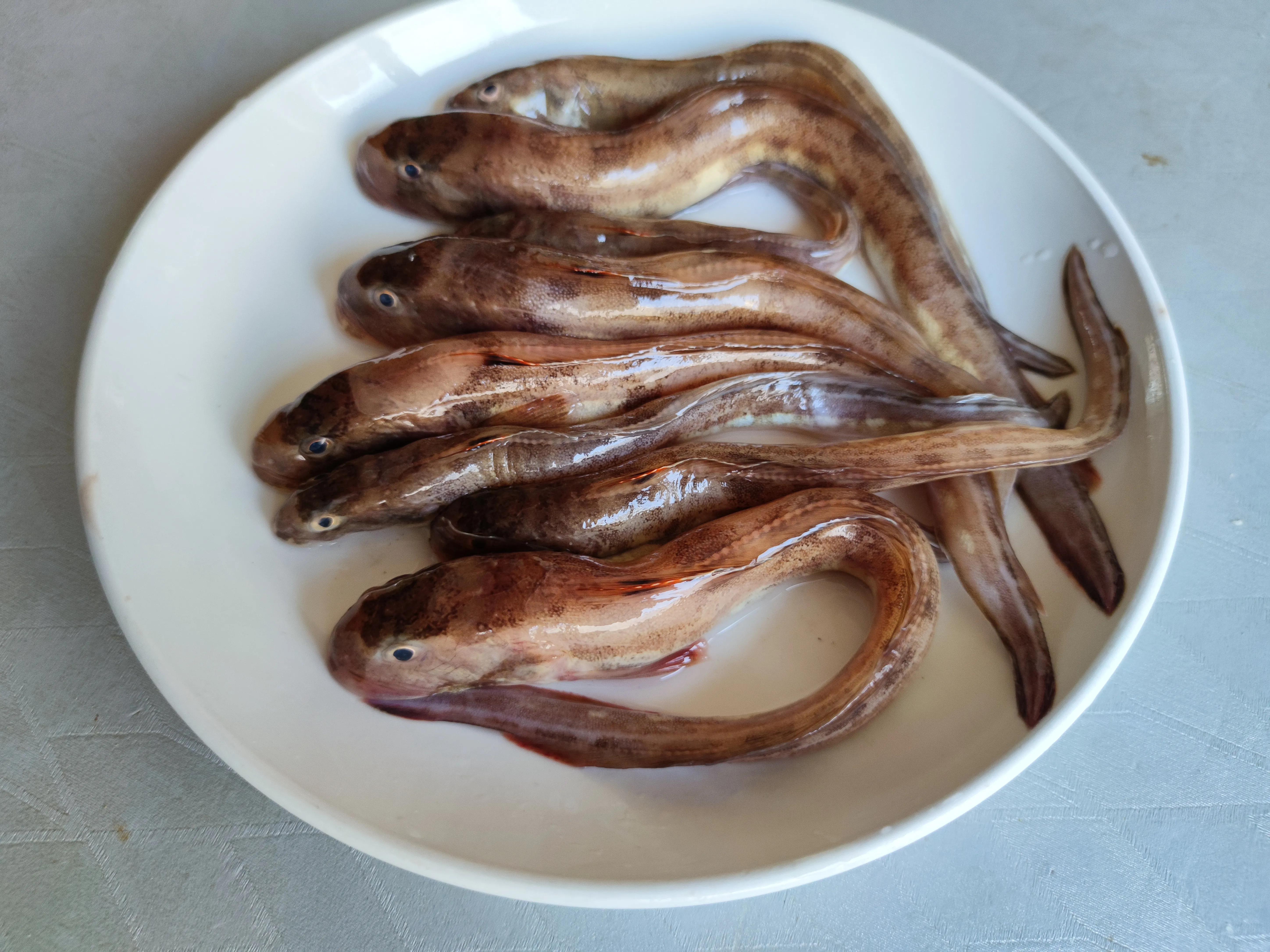 30种最常吃的海鱼图片大全,比较常见可以吃的海鱼