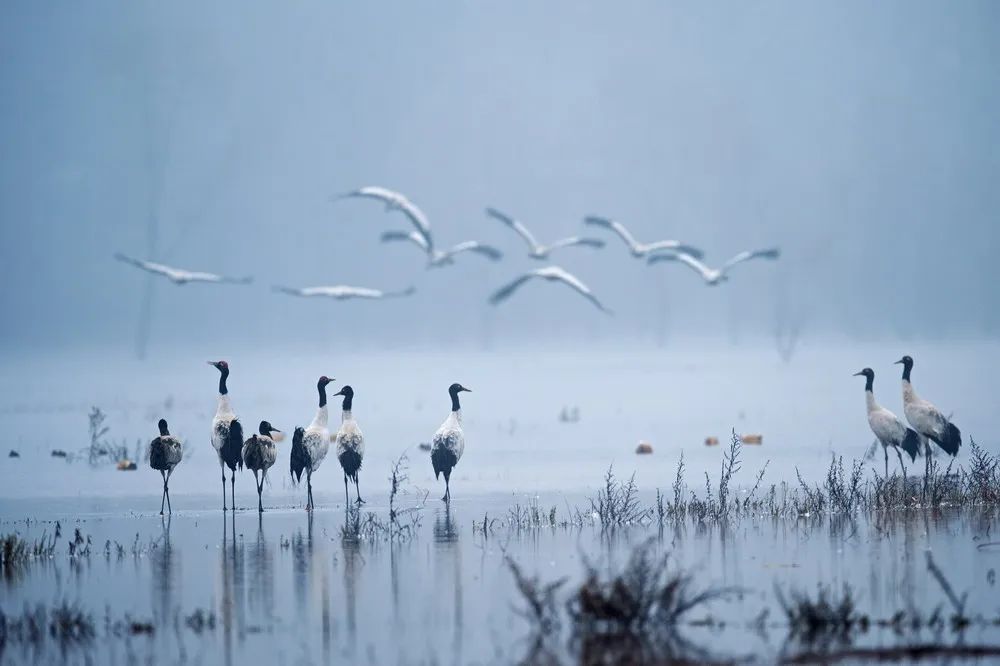 曲靖市各区县为什么发展如此均衡,曲靖市旅游资源有哪些优势