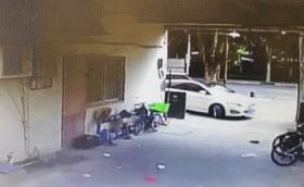 涔濅釜鍔ㄤ綔濮垮娍鎽嗘媿,涔濅釜鎵嬪娍鍔ㄤ綔