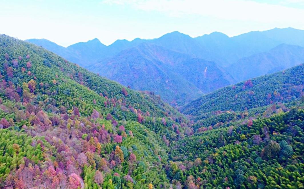 东北林业大学里面好看吗,东北林业大学环境工程好吗