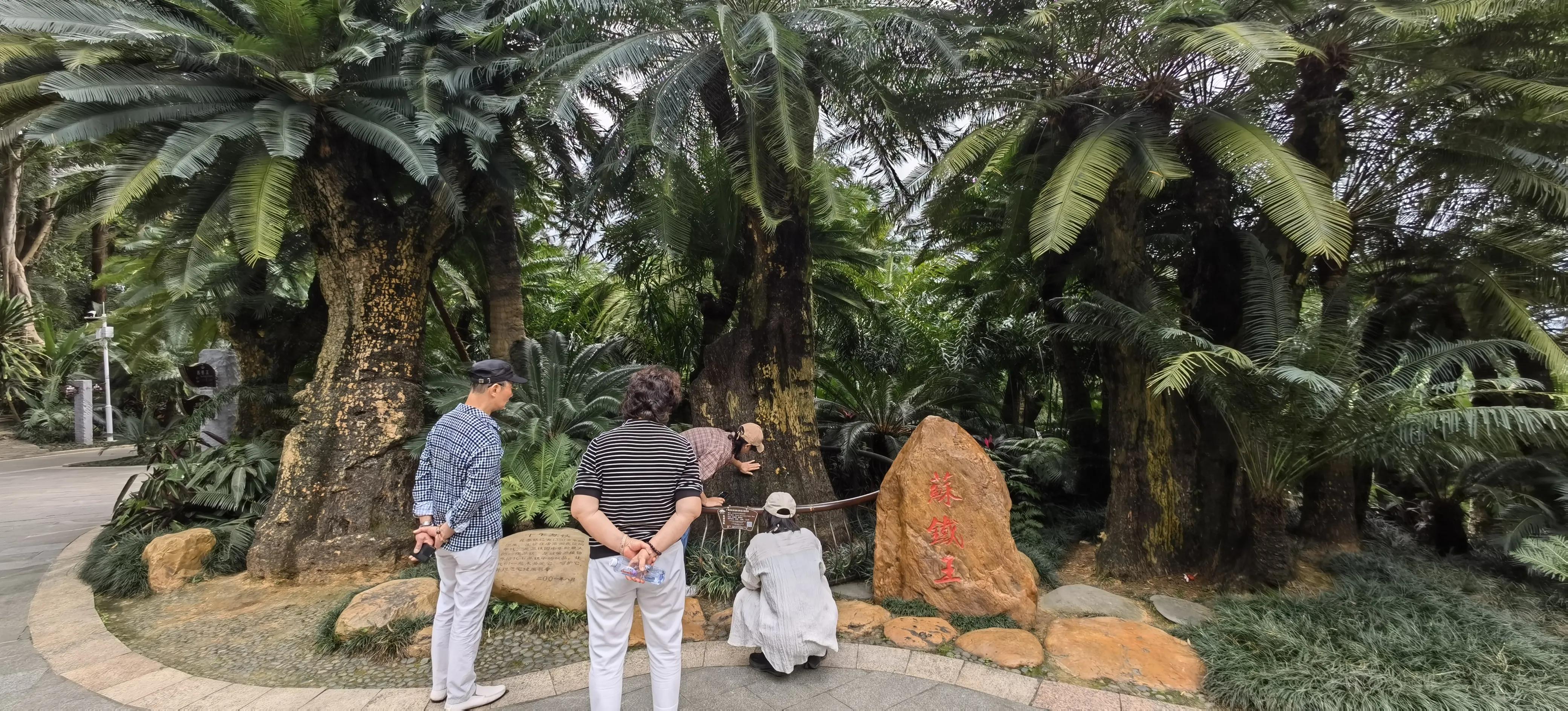 旅行日记记录一家人美好生活,旅行日记85天