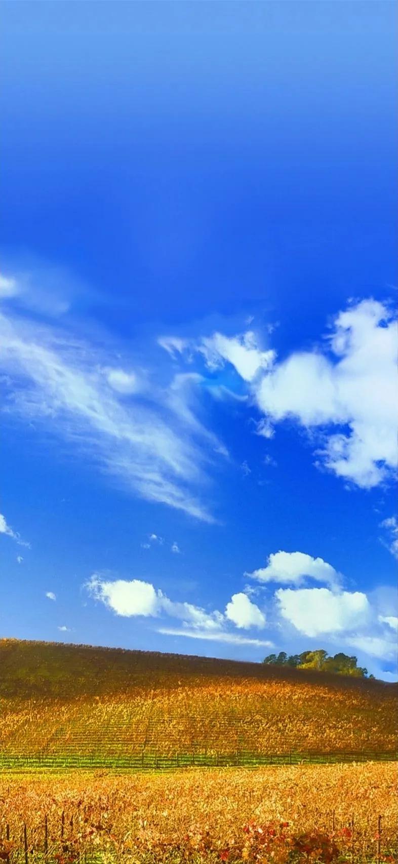 草原蓝天白云超清大自然手机壁纸,手机曲屏经典蓝天白云风景壁纸