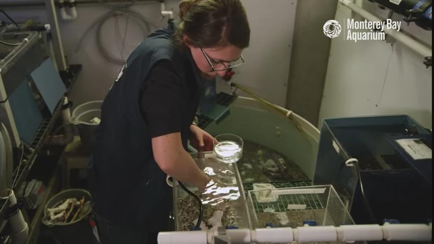 吃很多，拉很多……这些“外星生物”养起来有多费劲？