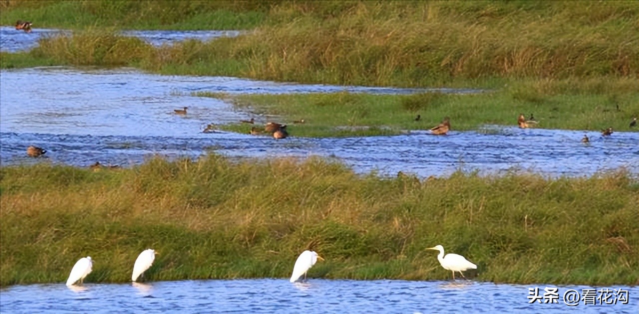 河南省漯河市舞阳县介绍视频,舞阳2007年照片