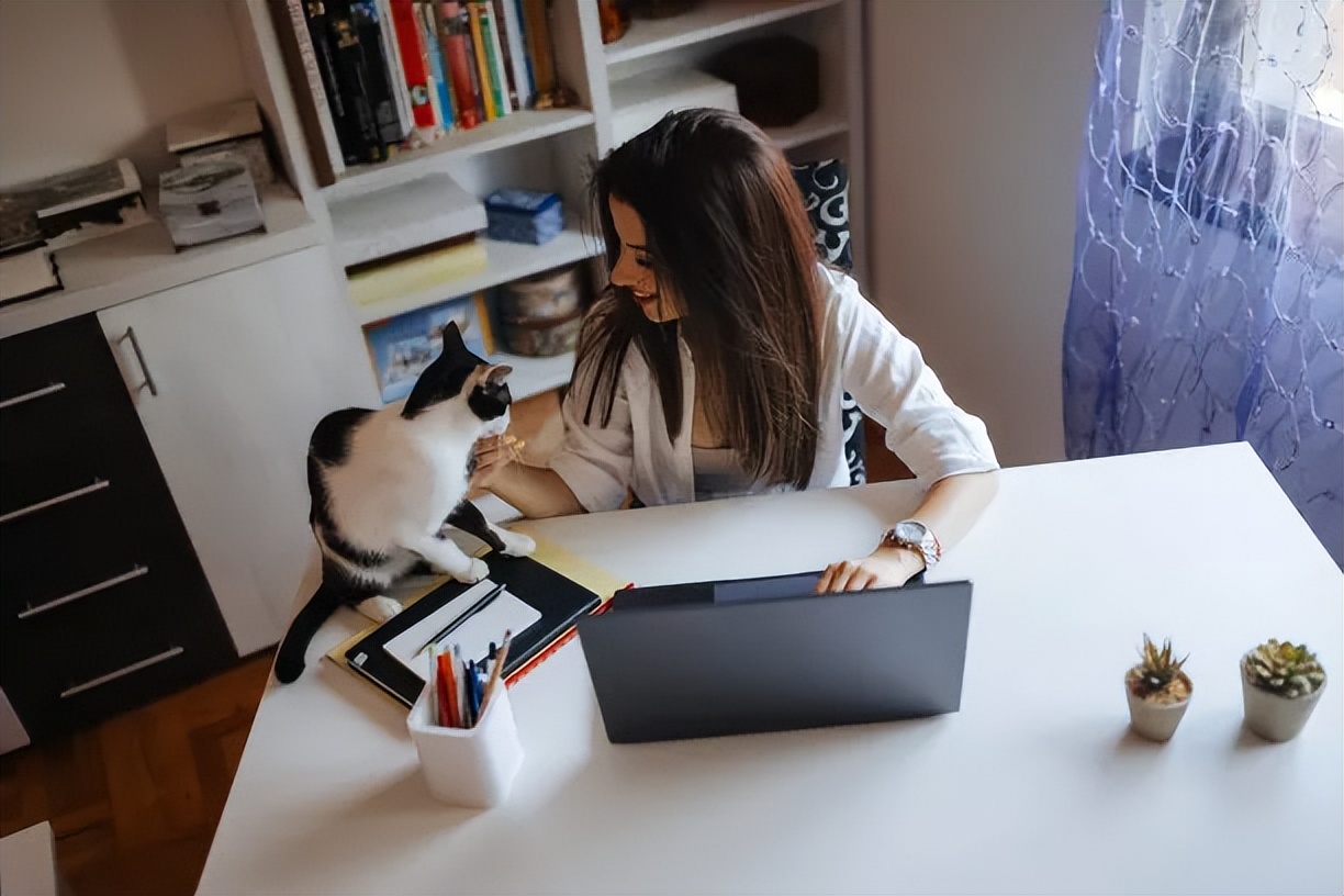 科学养猫攻略之新手养猫注意事项,猫怎么养新手养猫需注意4大问题