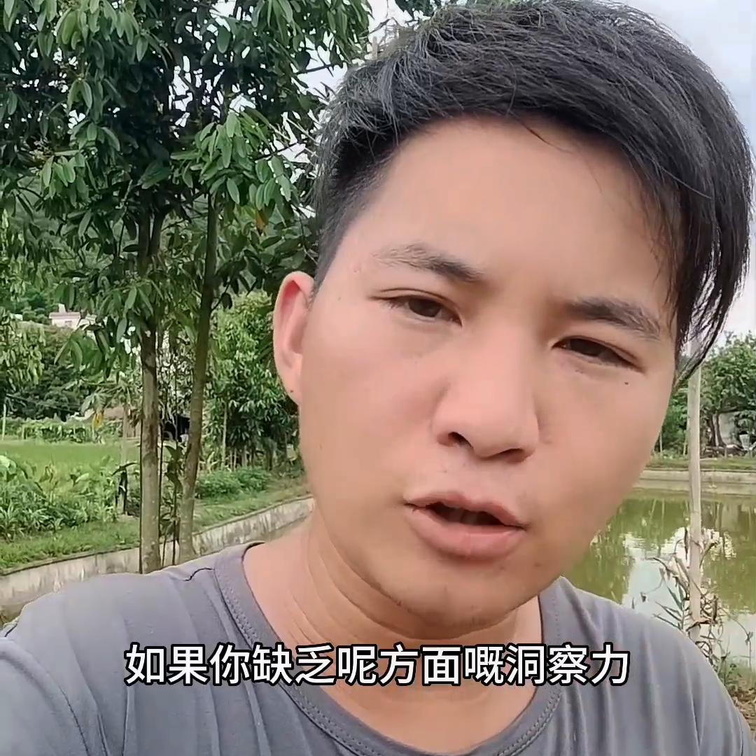 认为自己有能力回乡创业的,评论区聊聊#甲鱼