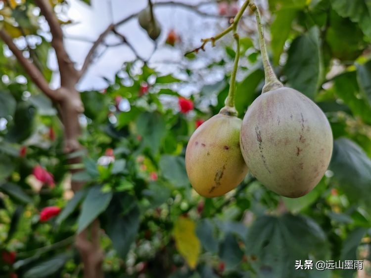 逛天坑、探叮呤当啷洞，去昆明安宁徒步，总有很多惊喜