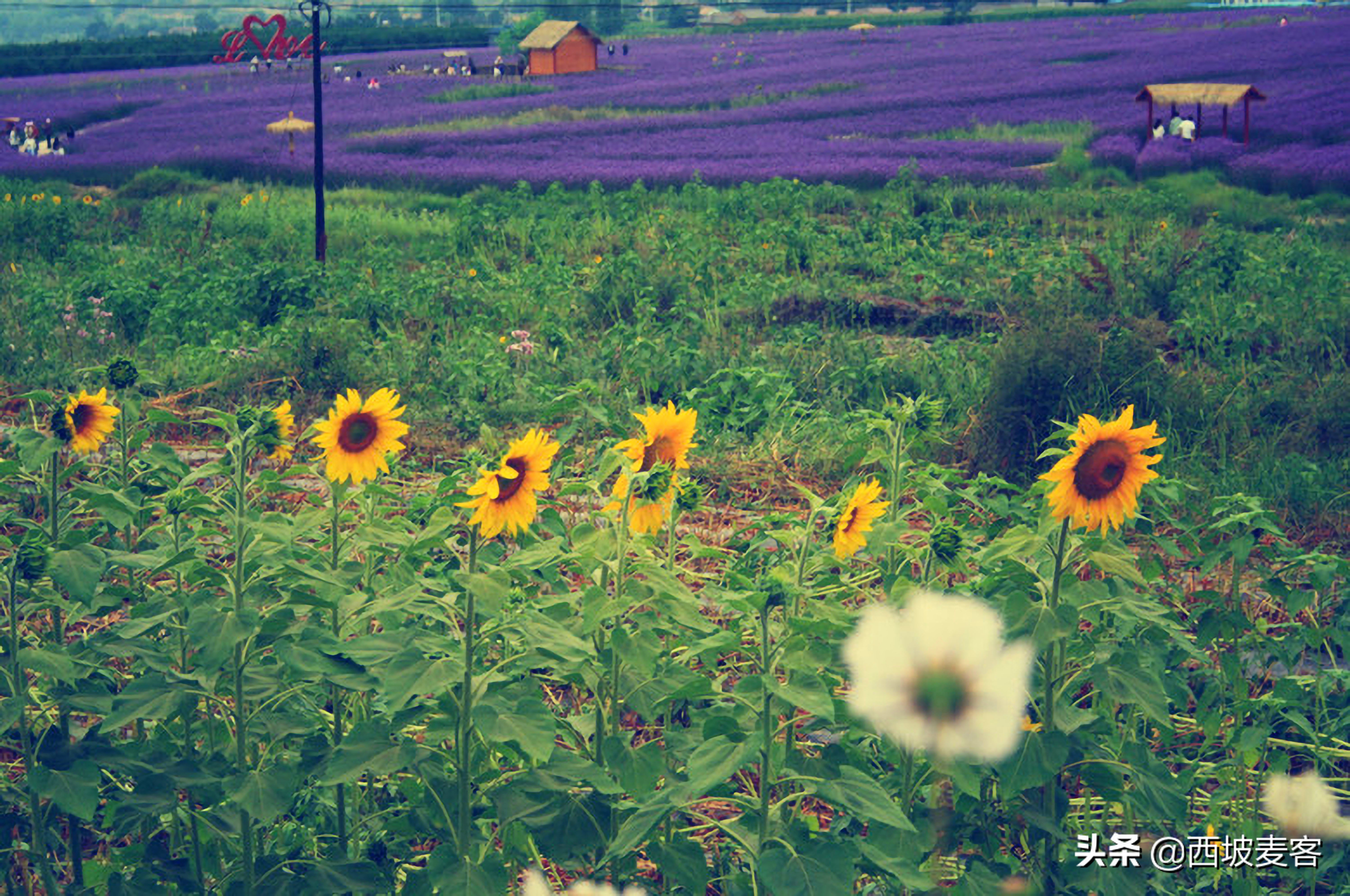 基于核心素养的地理课堂教学研究,地理核心素养下的教学目标设计