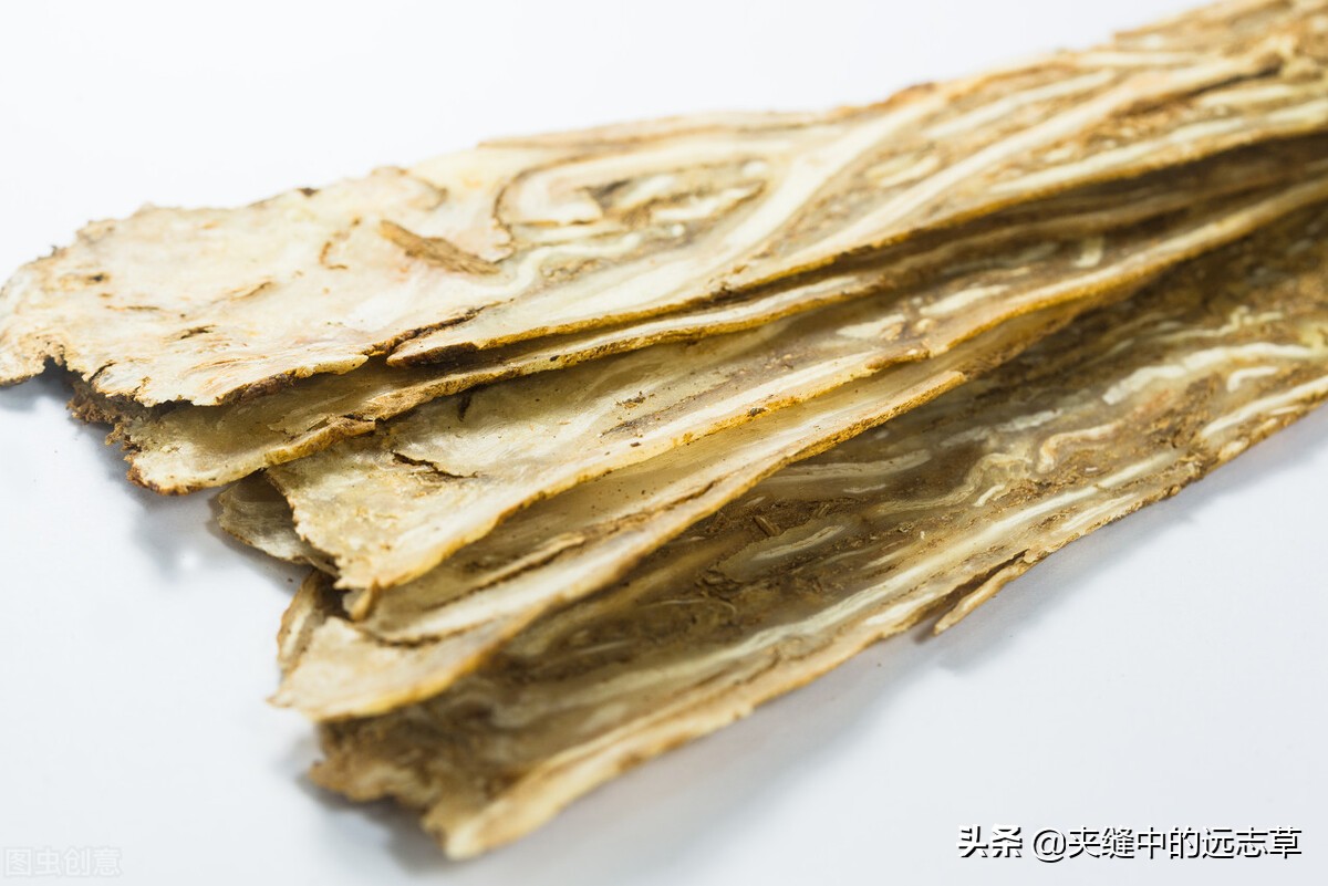 散结能手一味药泡水喝散各种结节,一个方子缓解结节息肉