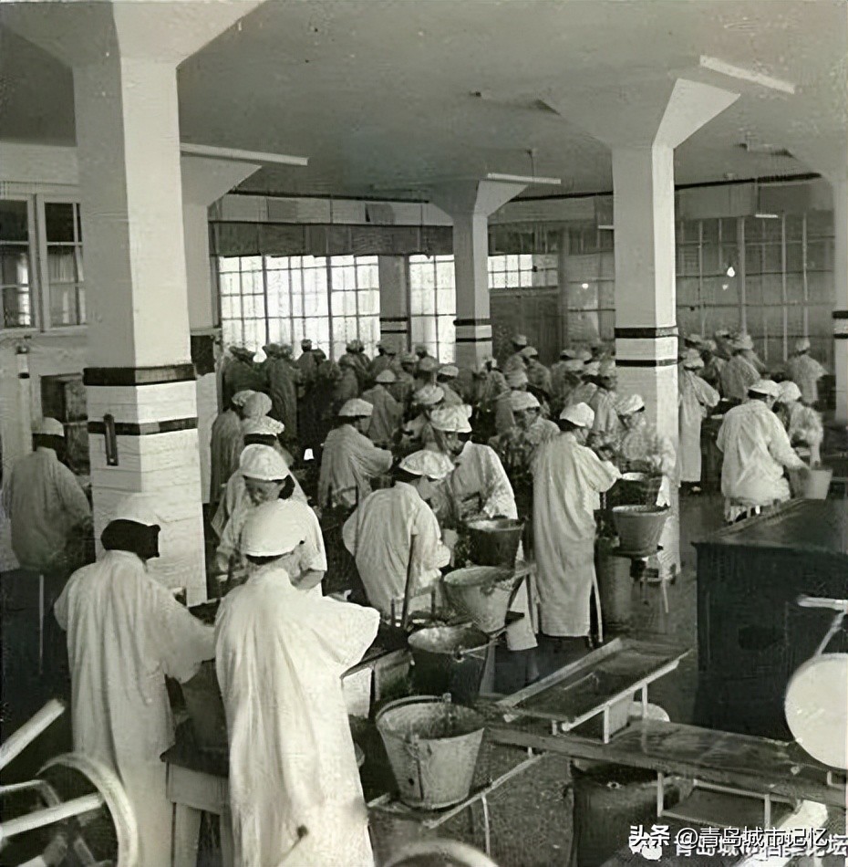 青岛茂昌蛋厂介绍,老茂昌蛋厂照片