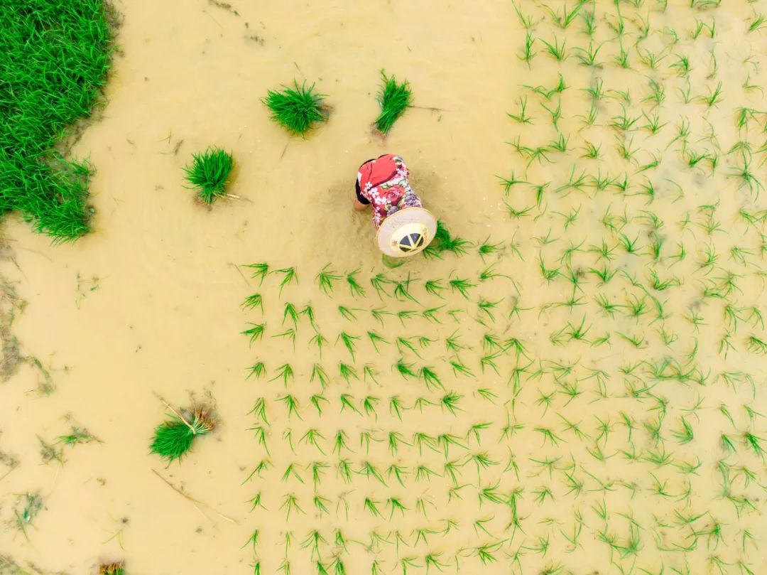 八首最温馨诗词,超级治愈的10首诗词累了就读一读