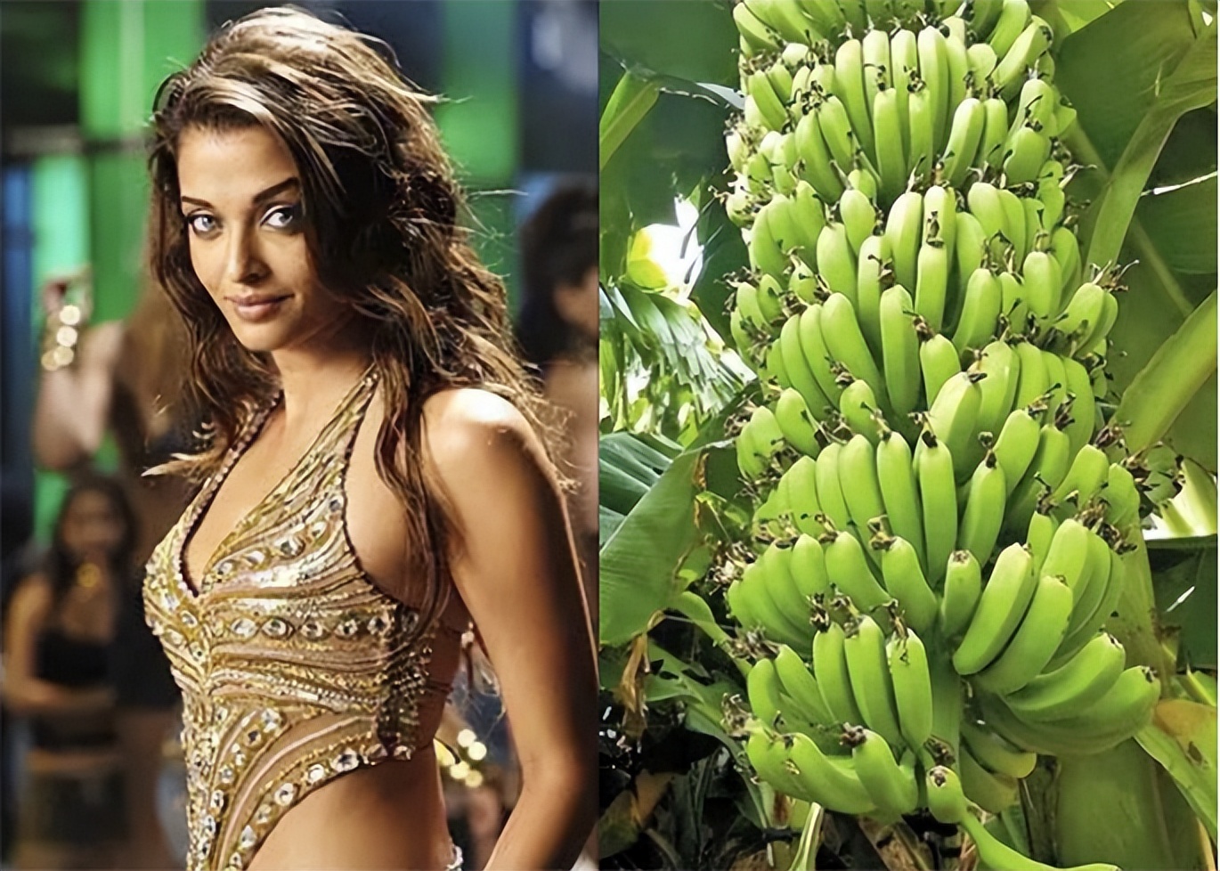 世界公认的印度第一美人,印度第一美人