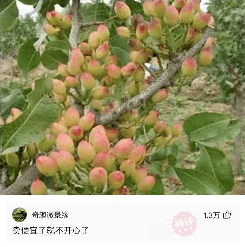 神评论：怎样才能把电脑弄坏，以便找心仪的男人维修？