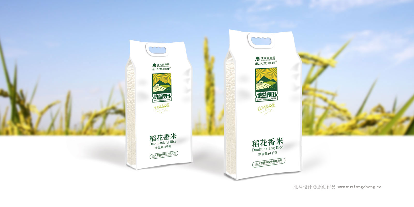 大米最好用的包装设计网站 (大米高端包装设计图片)