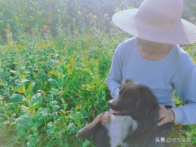 母亲去世后留下的钱可以要吗,父母去世留下了钱儿女都要平分吗