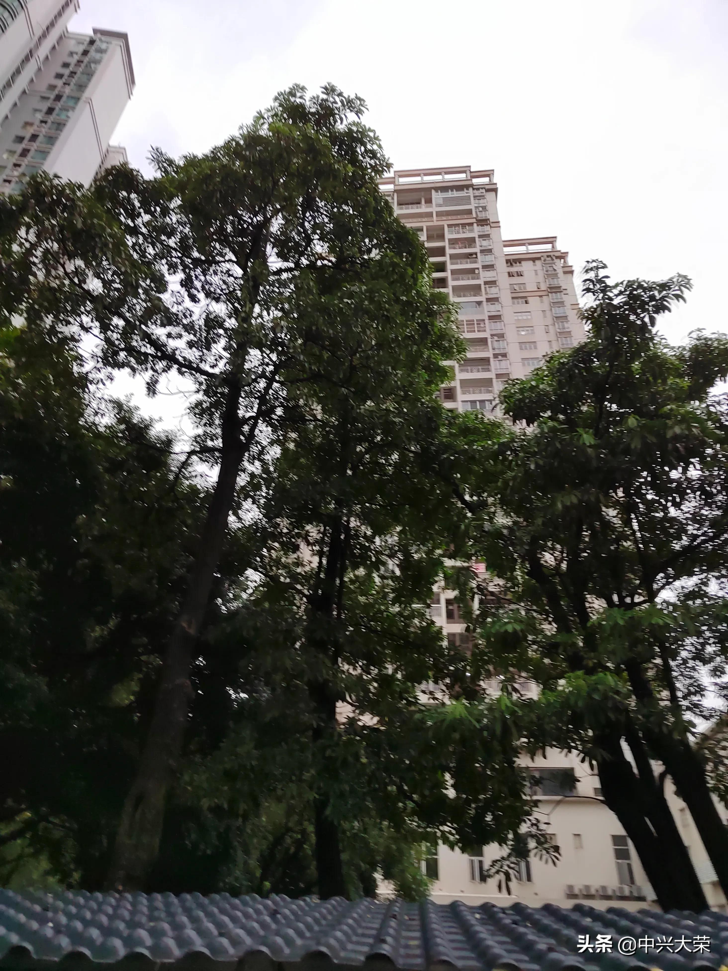 举办一场足球比赛,渴望今年的比赛