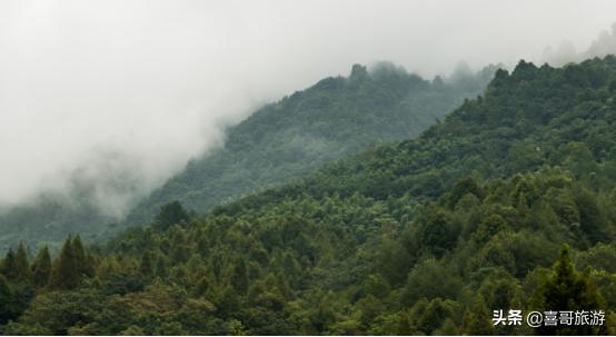 广东惠州惠东县旅游景点推荐,惠州惠东旅游景点大全排名