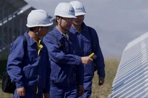 特变电工股票期权激励计划分析,特变电工2023年股票期权激励