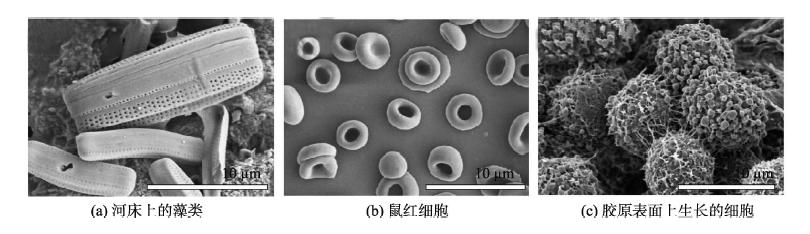 扫描电镜SEM分析流程,扫描电镜sem的缺陷及解决途径