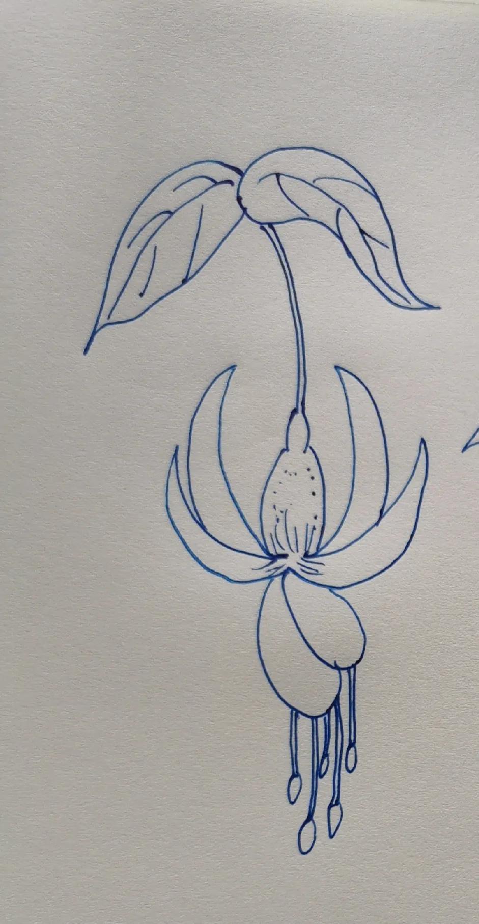 *钟金**，这个名字多么好听啊！如果再加上“倒挂”二字，简直完美