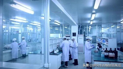 研究生如何与实验室师兄相处,给准研究生寄语