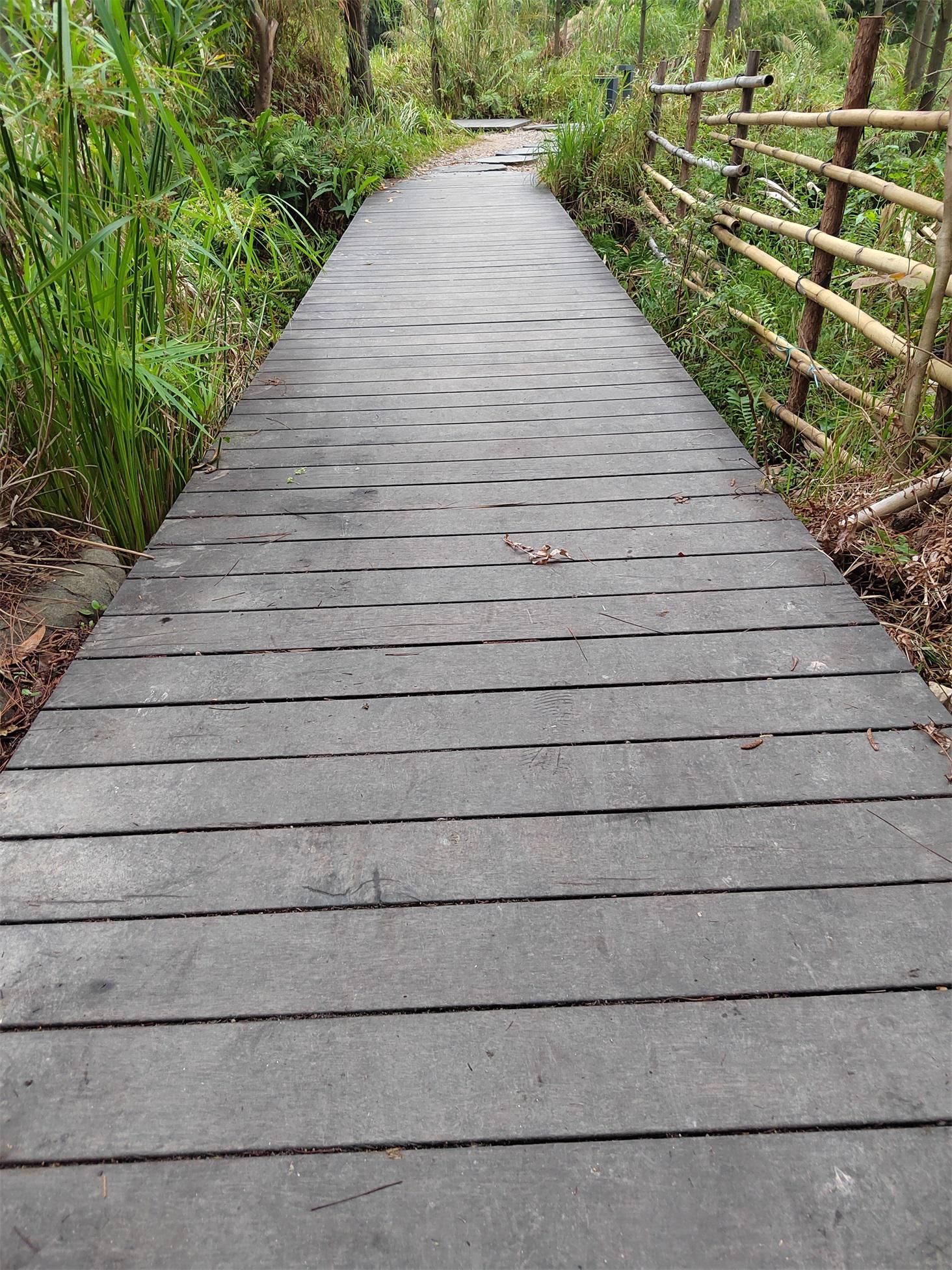 骏马奔腾|我最喜欢的跑步俱乐部