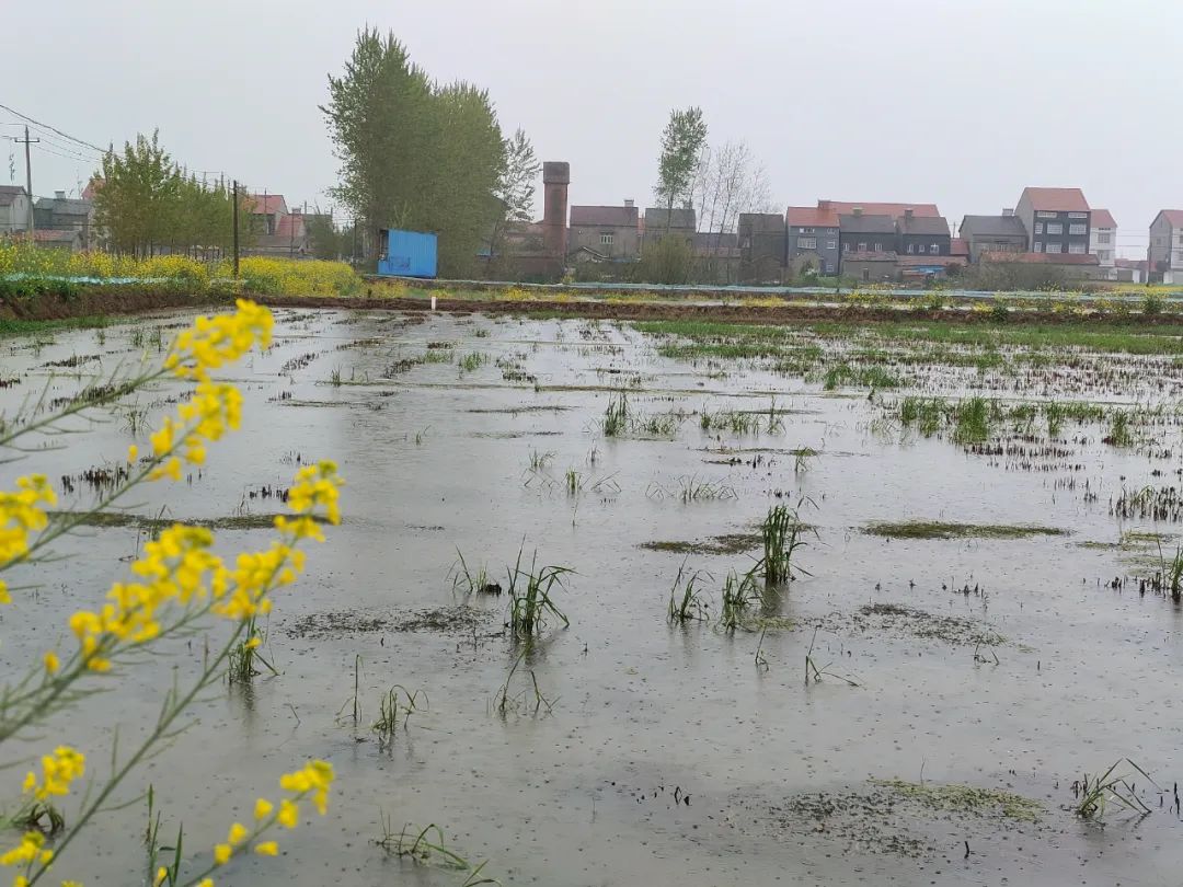 古代现代，古人今人，都只是长江做过的梦，来来去去丨周末读诗