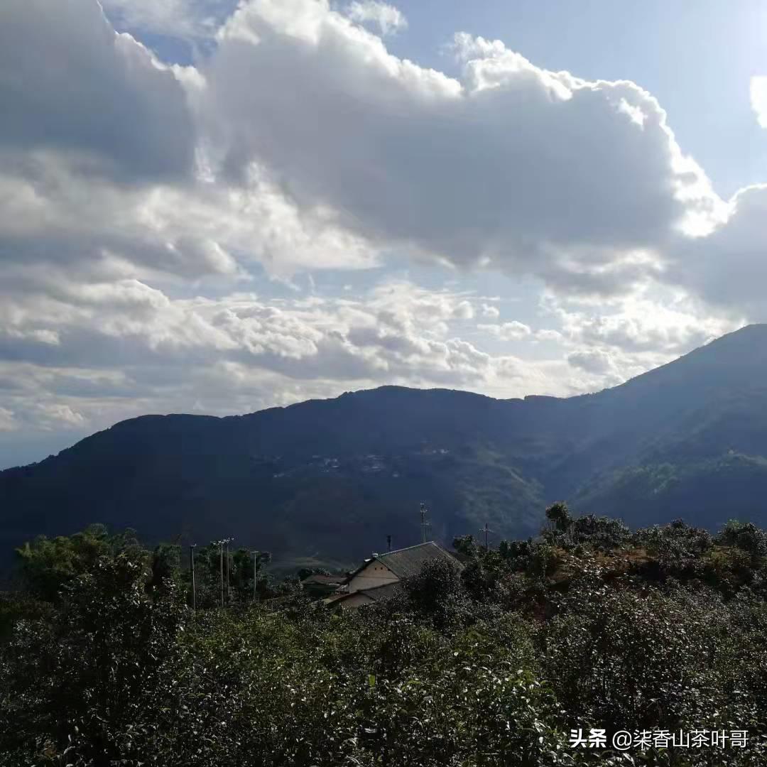 勐库地区茶产区地图,勐库的地理位置