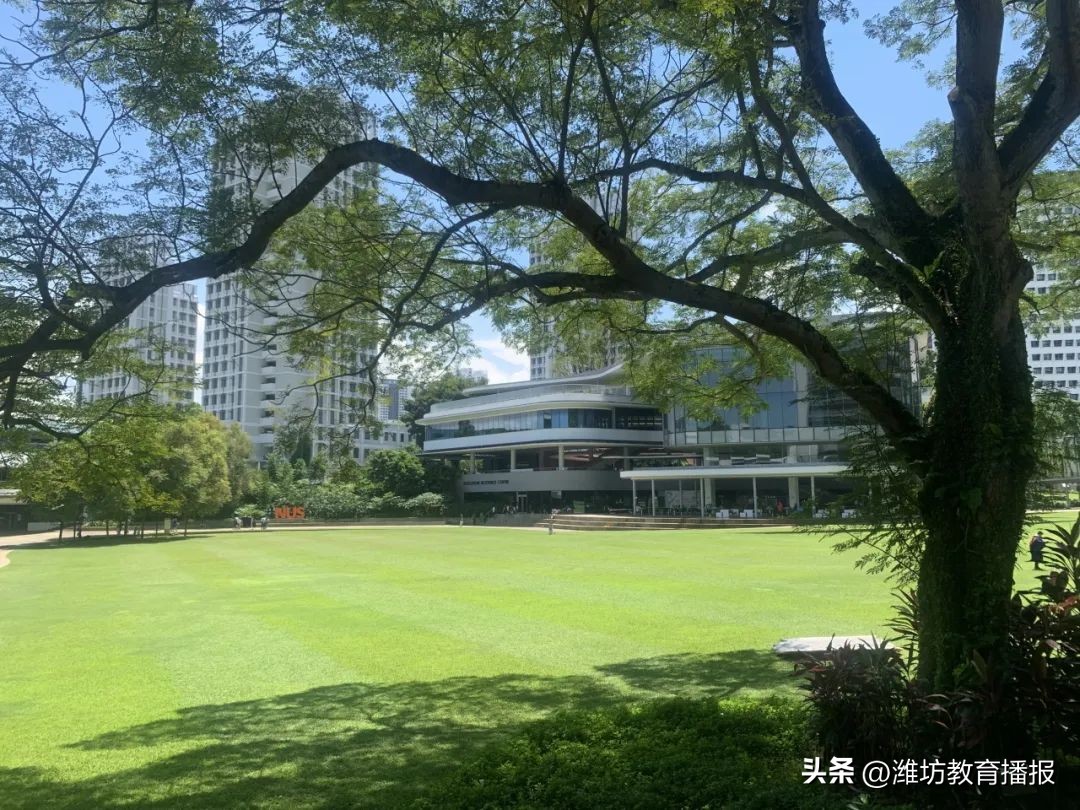 潍坊中新双语好进吗,潍坊中新双语校园