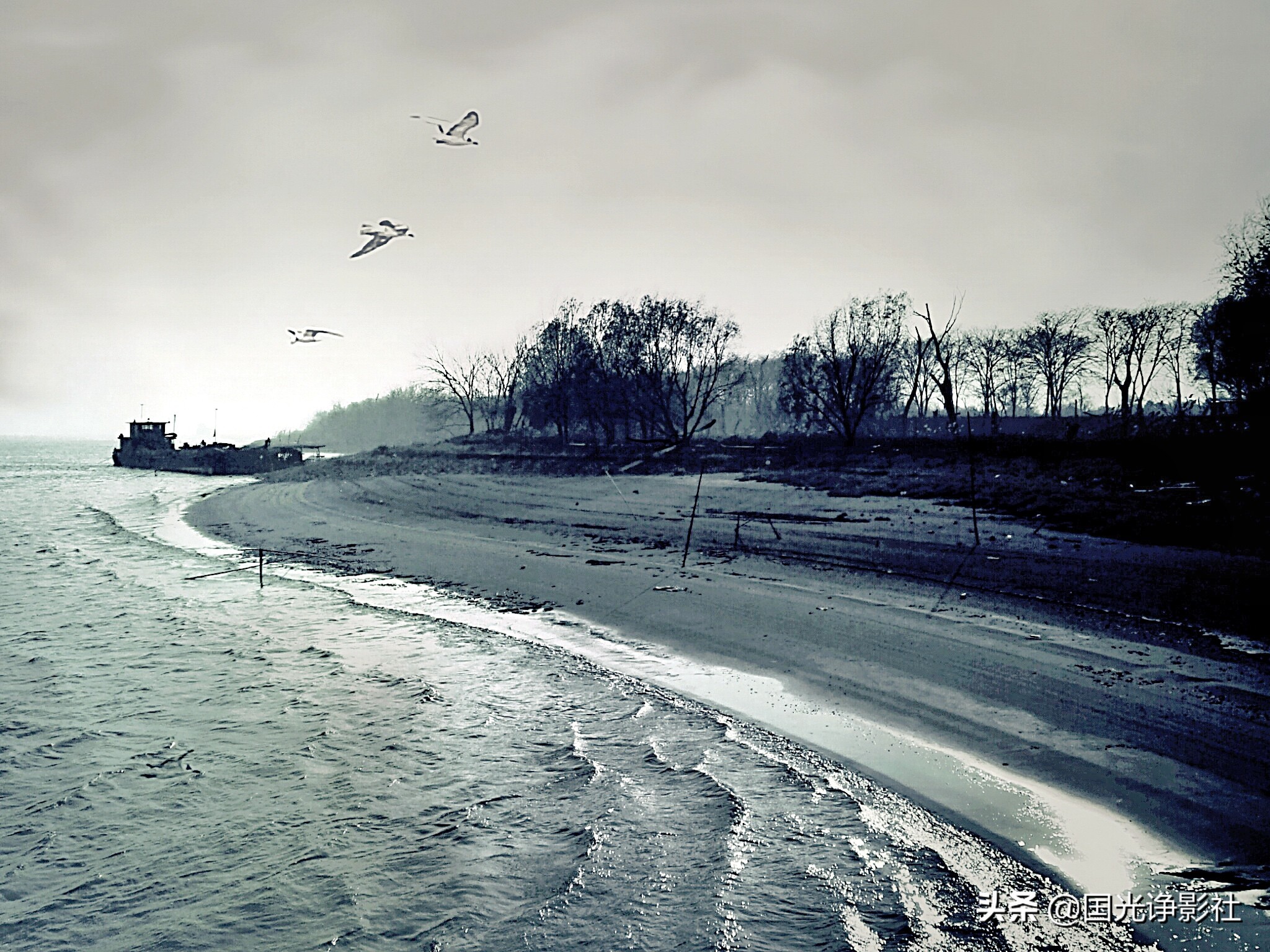 长江生态大保护的理由,长江大保护最美的底色