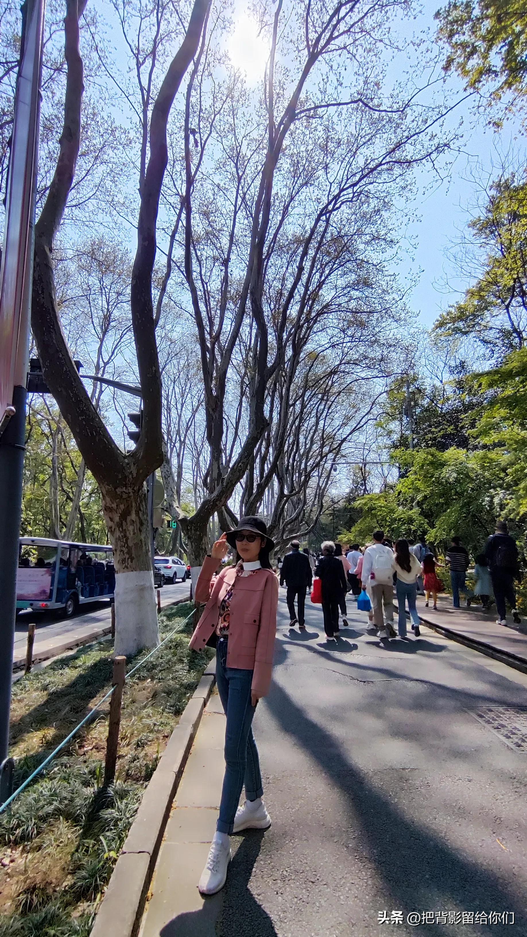 我的大南京，你这是怎么了？