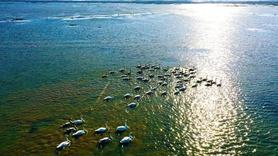 看洪泽湖的最佳地,洪泽湖简介