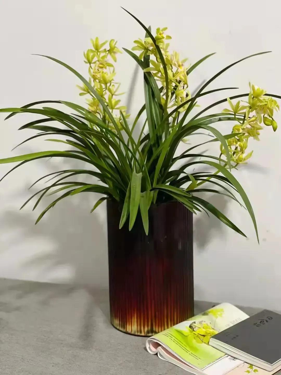 退休后干什么既能赚点钱又有寄托,退休的老党员怎样发挥余热