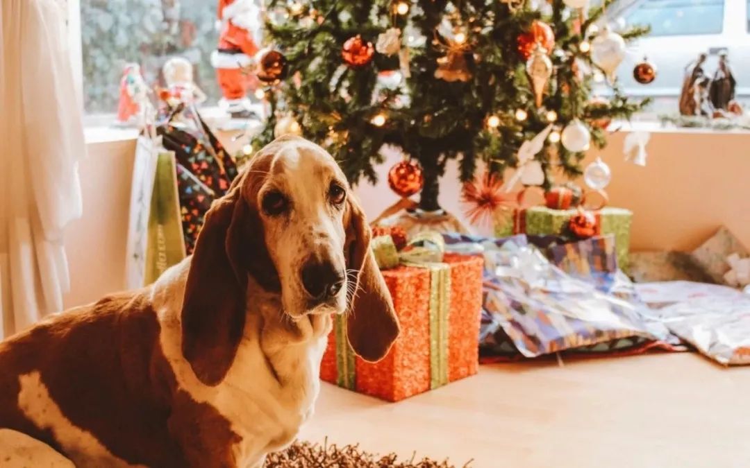 定制产品跨境怎么推广,定制产品怎么开跨境电商