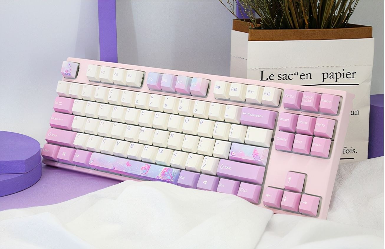 2023年机械键盘选购指南,2820机械键盘推荐