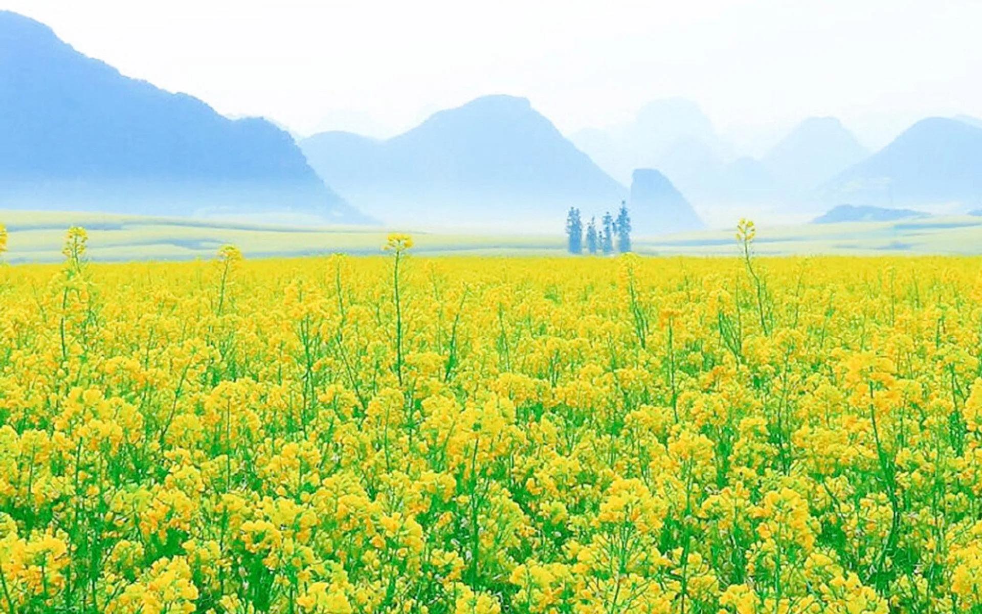 校园叙事散文500字,以春为题的叙事散文