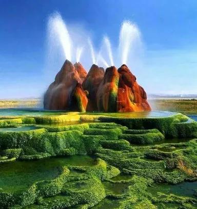 99%的人都不知道的30个动物冷知识,100个不为人知道的冷知识