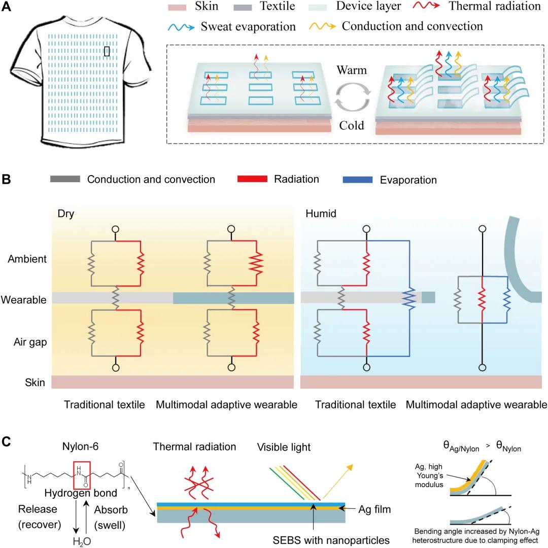 华人科学家参与的研究,华人科学家打造机器人