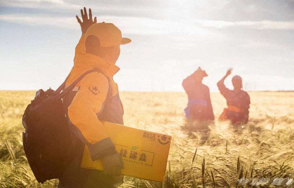 23岁韵达坐稳中国快递第二交椅，“重力+速度”进击排位战下半场