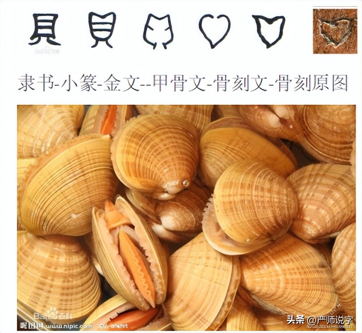 偏旁部首大全第三课,汉字的偏旁部首大全完整版