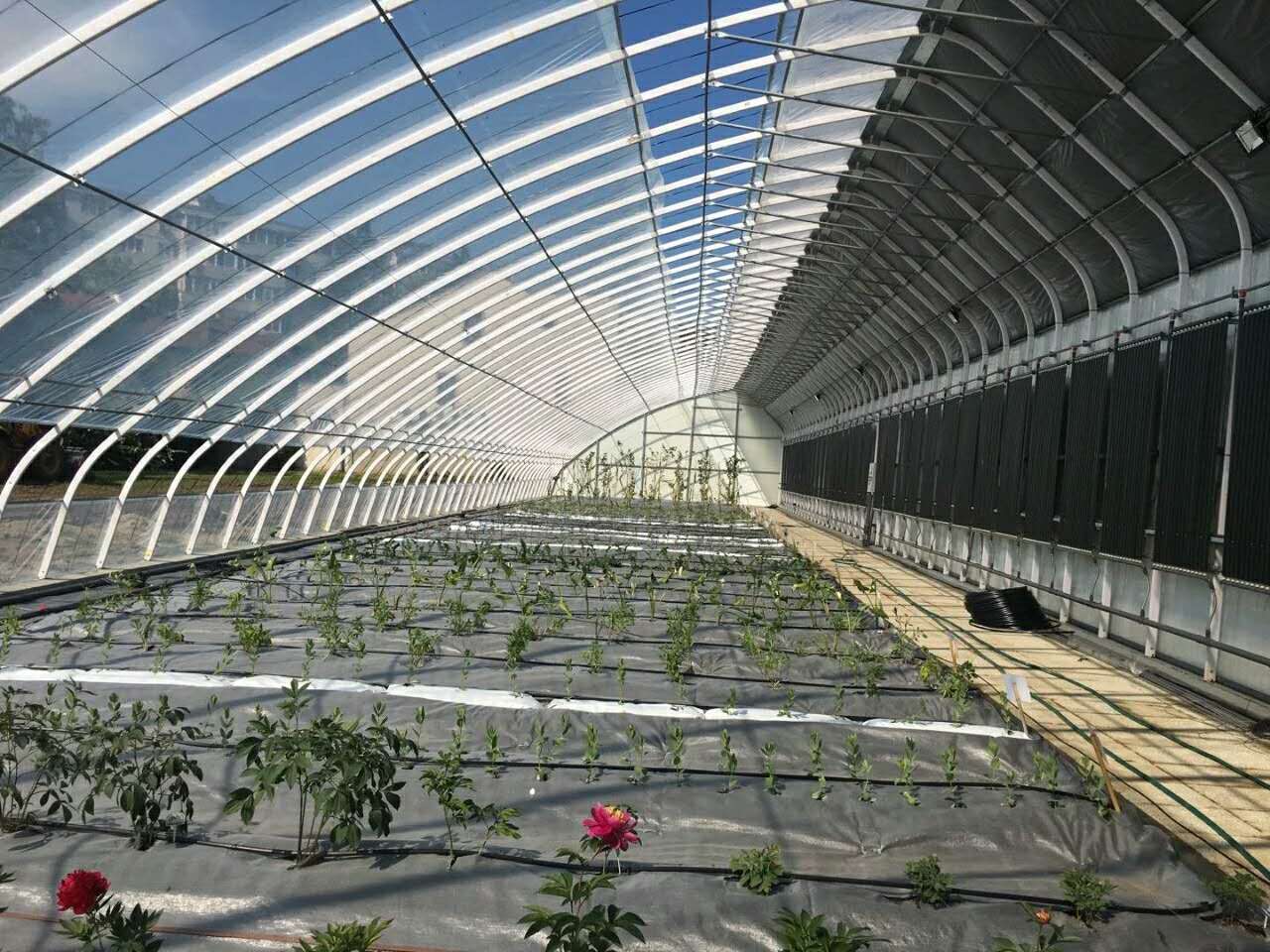 适合无土栽培的温室大棚成本造价,温室大棚的土建基础造价明细表