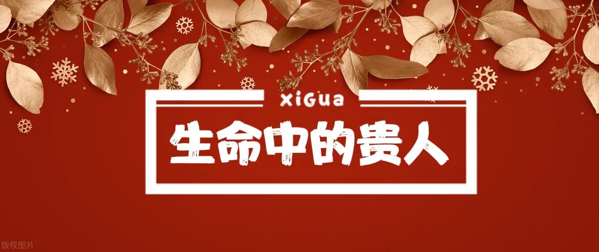 家有二娃如何带从生物进化论看人的成长