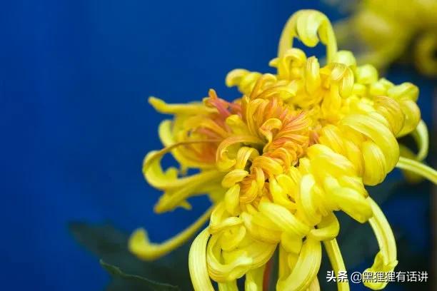 甄嬛传沈眉庄和甄嬛疏远,甄嬛传沈眉庄与甄嬛决裂