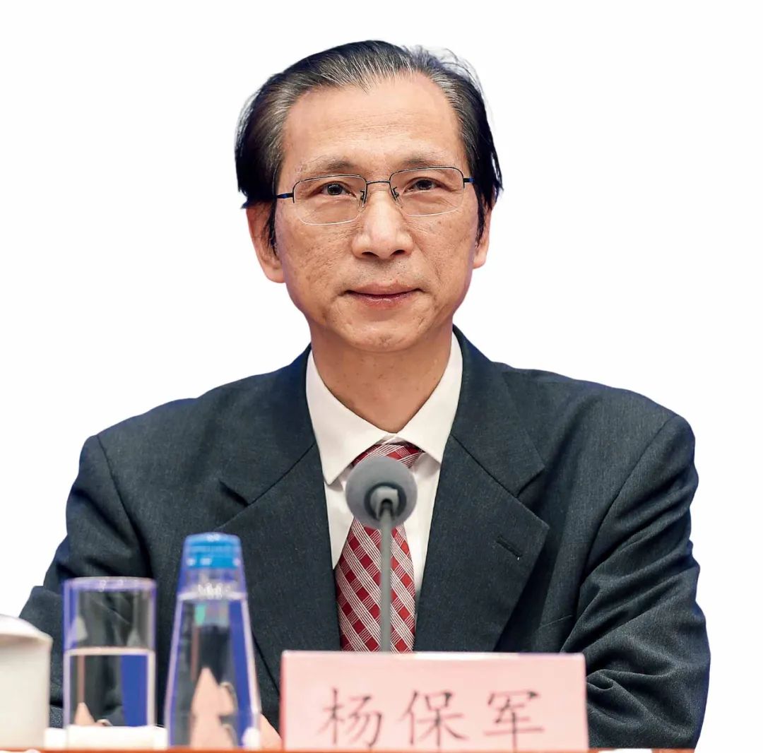 杨保军新一线城市,《城市更新进展》杨保军