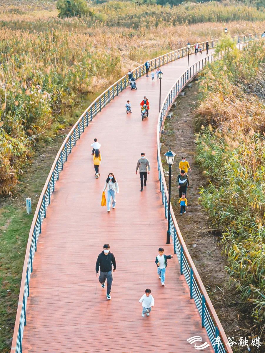 秋日暖阳骑行绿道,骑车绕城绿道值得打卡的推荐