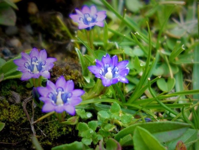 头晕头痛不用怕这样练帮你改善,头晕头痛不要怕用它解决