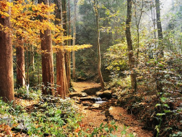 杭州周边赏秋好去处,杭州赏秋最佳攻略