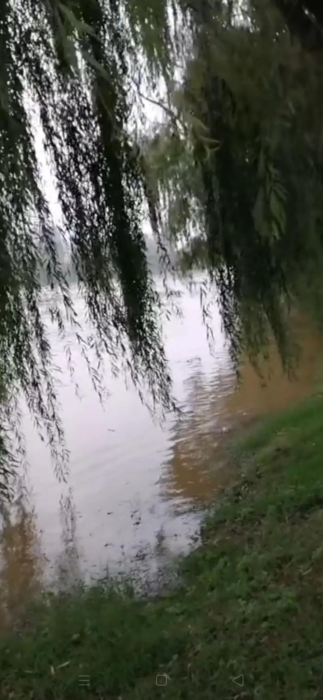 风雨人生第36集,风雨人生40集全免费