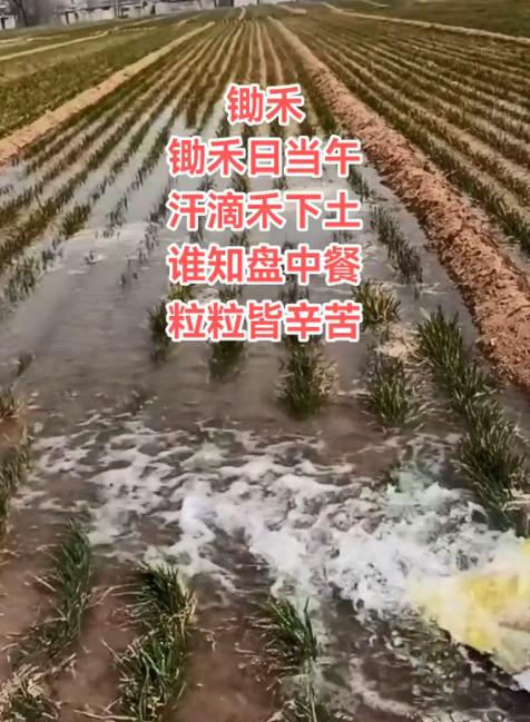 朱小伟婚后遭陈萌嫌弃,陈萌和朱小伟两个人相处