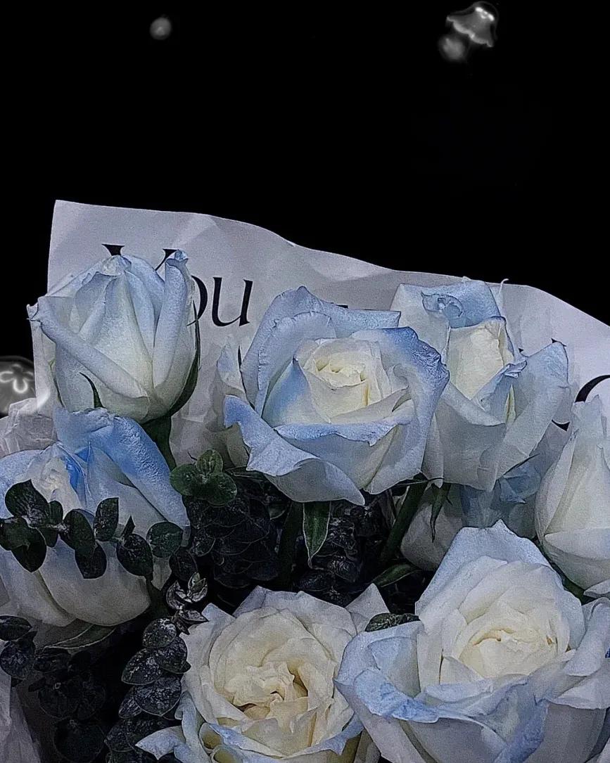 玫瑰与克莱因蓝代表什么寓意,克莱因蓝玫瑰的花语